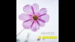 Чем отличается "Нравится" от "Люблю"