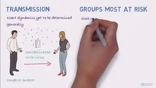 What is coronavirus?