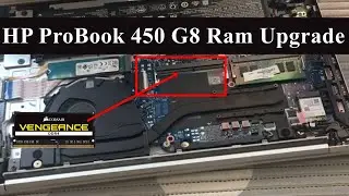 HP ProBook 450 G8 Ram Upgrade | Hp 450 G8 Disassembly | 2022