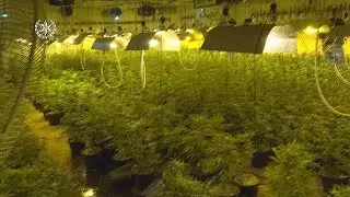 Огромная лаборатория