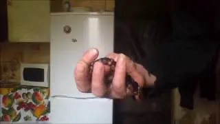 УЙНЯ все эти ваше СПИНЕРЫ...ТЫ ВОТ ТАК ПОПРОБУЙ