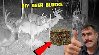 Homemade Deer Block Recipe…Cheap, Fast, Effective…Deer Can’t Resist
