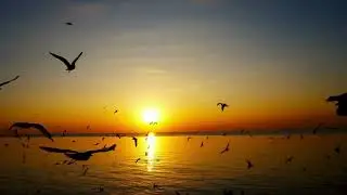 Aleksandr Krein. Two Jewish songs (ор.39). “Lullaby”