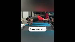 Abdominal Workout You Can Do At Home