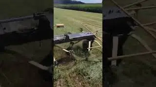it's time to make organic grass hay. #2024  #farm  #organic