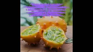 World rarest and tastiest fruits🍍🍓🍇🍈#information