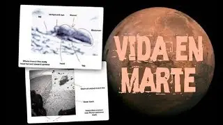 Evidencias de criaturas alienígenas en fotos de Marte
