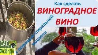 Как сделать виноградное вино с помощью стиральной машинки? часть 1