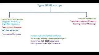 Microscopes light(phase contrast, dark field),& electron(scan) & gram stain neet/aiims/lab courses