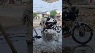 ALHAMDULILLAH ALLAH PAK MAIN KHUSH HUN ❤️ /#viralvideo