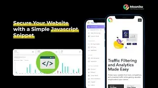 Secure Your Website with a Simple JavaScript Snippet | Moonito Traffic Filtering & Analytics