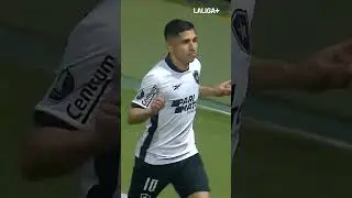 🖤 Dreming #botafogo #libertadores #football