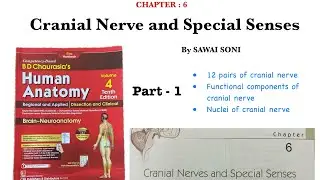 Cranial Nerve and special senses || Anatomy BD Chaurasia volume 4 chapter 6 || Part 1 By SAWAI SONI