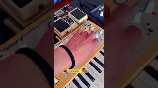 MICROBRUTE synthesizer + delay fx
