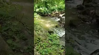 Hungarian beautiful nature