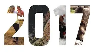 2017 Cinematography &  Directors Reel