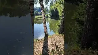 2 сентября 2024 г.