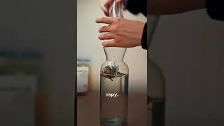 Лучший зеленый чай завариваю только так! Идеальный рецепт для максимума вкуса 