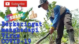 Berkeringat menghadapi Virus COVID-19