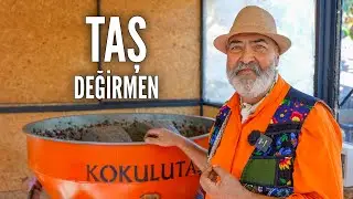How is Natural Olive Oil Produced in a Stone Mill? (Inventor Erdal)