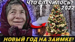 AGAFYA AND THE NEW YEAR | HOW IS THE HERMIT PREPARING FOR THE HOLIDAY?! AGAFYA LYKOVA 2021 / TAIGA /