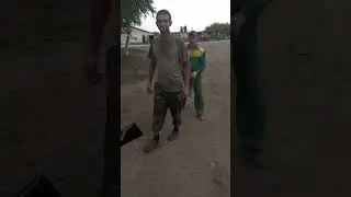 вот дали напарника