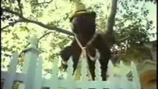 Classic 70's Public Service Announcement (PSA) for the prevention of forest fires Smokey the Bear