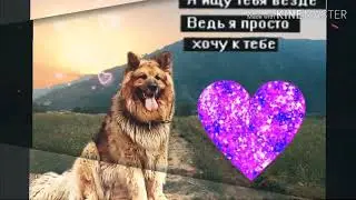 Арт для своей собачки#1