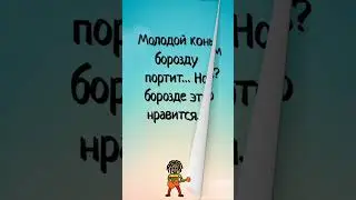 #анекдоты #фразы #shorts #короткие анекдоты