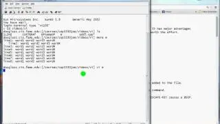 Unix vi editor A -- Getting in and out of vi