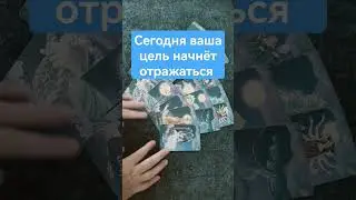 Сегодня ваша цель начнёт отражаться