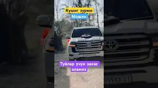 Туйни буздику 