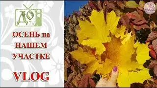 ОСЕНЬ на НАШЕМ УЧАСТКЕ / ОГОРОДНЫЕ РАБОТЫ до начала ЗИМЫ