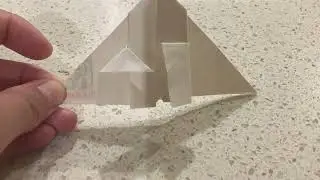 Origami and Guinea Pigs