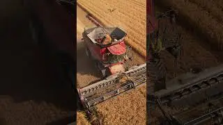 The CaseIH Axial Flow AF10 😏🌾