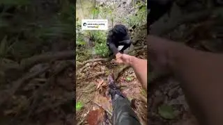 Wrong path and lost in the forest😰