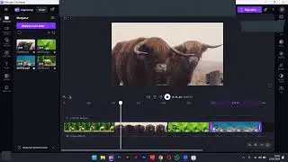 DreamLife Akademi - Ders 4 - Microsoft Clipchamp Kullanımı
