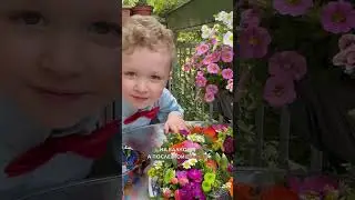 Как празднуют День Рождения немцы 