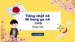 Từ vựng JLPT N4 | Từ vựng tiếng Nhật N4 theo chủ đề | 1500 単語 N4 