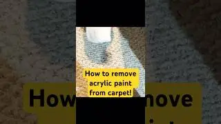Remove Acrylic Paint From Carpet! #DIY #howto