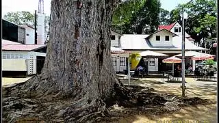 Paramaribo Old Buildings