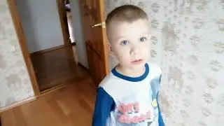 1000 пазлов и один кот