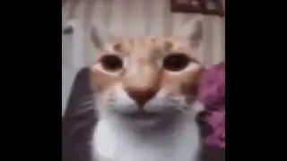 😐