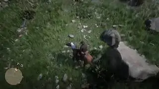 Red Dead Redemption 2 horse fail