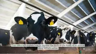 Notifying births and deaths on NIFAIS Online (NOL)