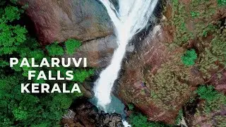 Palaruvi Waterfalls in Kollam, Kerala | Top View of Palaruvi Waterfalls