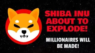 SHIBA INU COIN: 100X PRICE RALLY IN LESS THAN 24 HOURS!