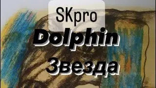 SKpro Dolphin - Звезда