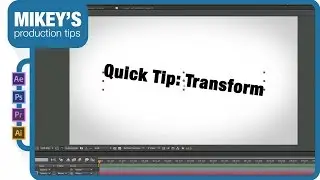 After Effects Quick Tip: the Transform filter