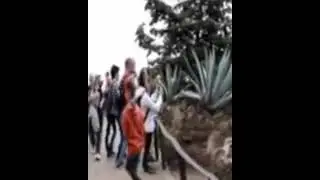 вот это в натуре алое ЖМЫХ